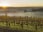 Margaret River Wine Region