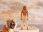 Life of Pi
