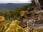 Barrington Tops