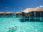 The Maldives