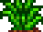 Grass Starter