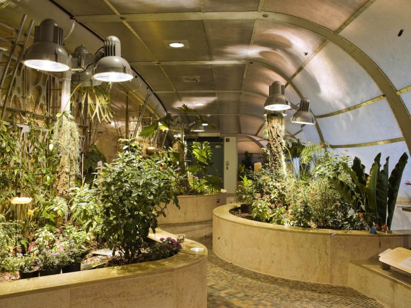 Butterfly Pavilion (National Museum of Natural History)