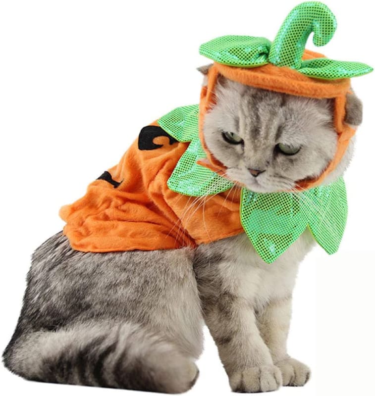 Pet Pumpkin Costume