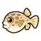 Pufferfish