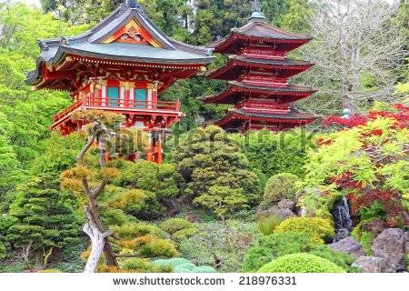 Enjoy the view of Japanese Tea Garden