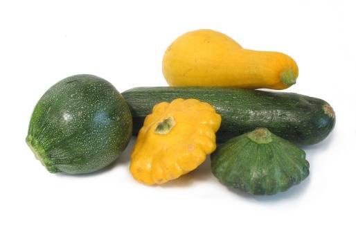 Squash