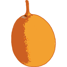 Your baby is about the size of a kumquat and can stretch his spine.