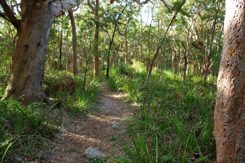Outdoor activities to enjoy with kids