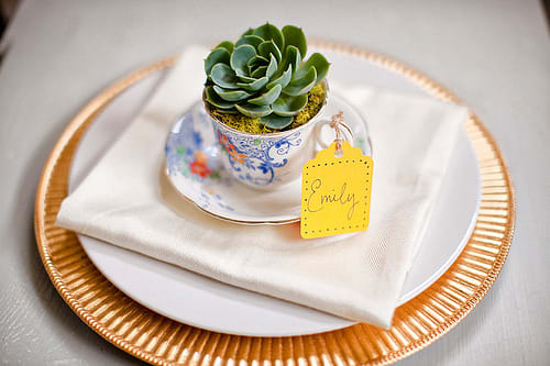 Succulent wedding favors