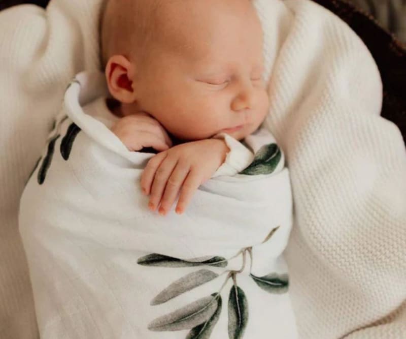 Bub & Co. Organic Swaddle