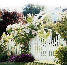 Designate your planting areas
