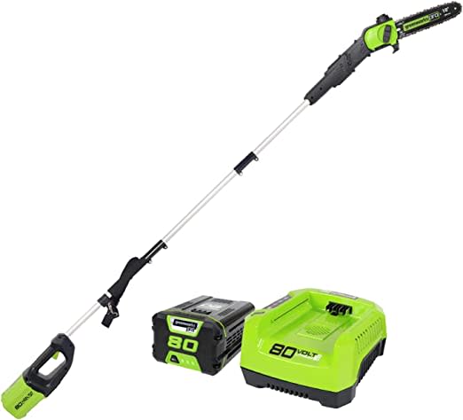 Pro 80V 10 inch Brushless Cordless Polesaw