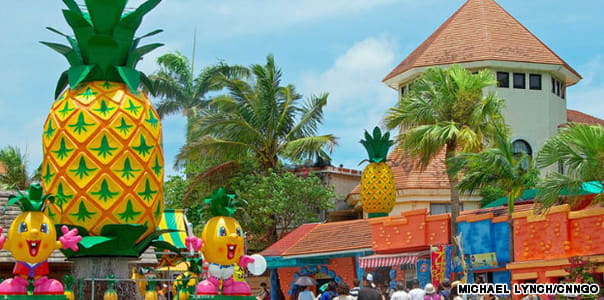 Nago Pineapple Park