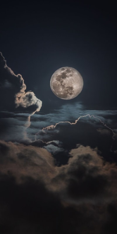Night Fall Farm Bundle Check List