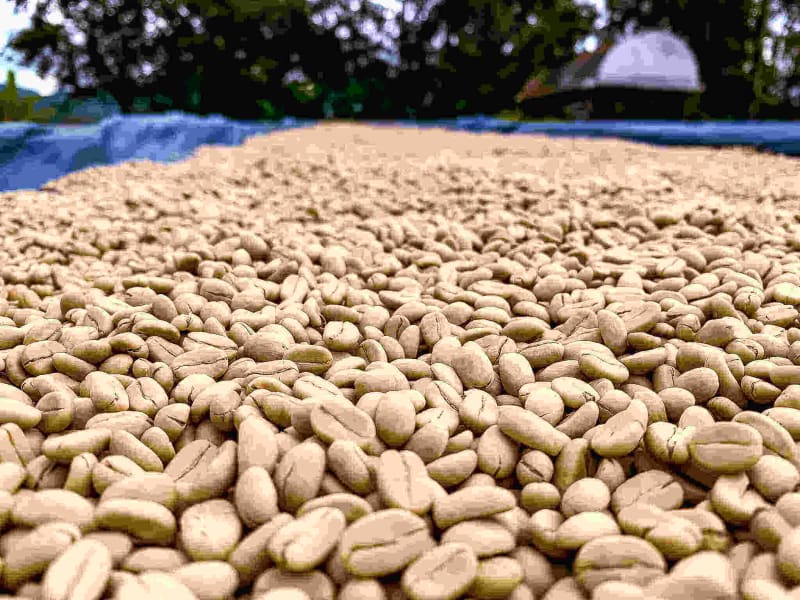 Best Coffee Mornington