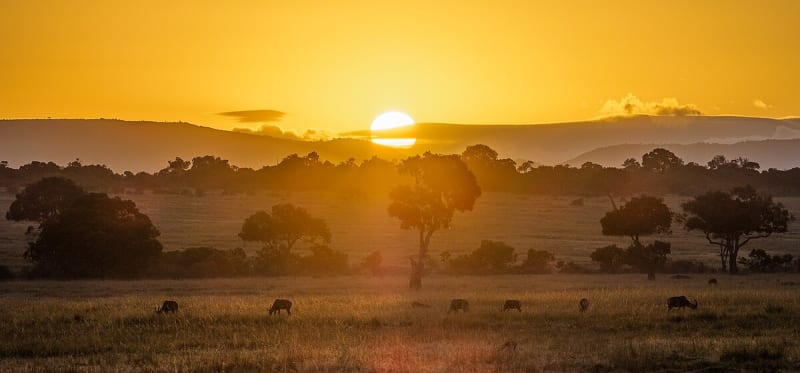Kenya’s magnificent decade: A countdown of the finest tourist hotspots