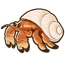 Hermit Crab