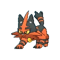 Torracat