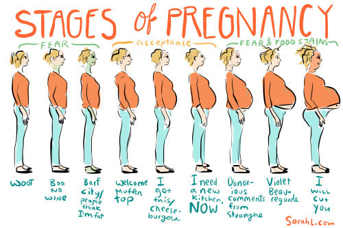 Pregnancy Week by Week List