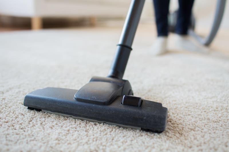 Carpet Cleaning Services Darwin