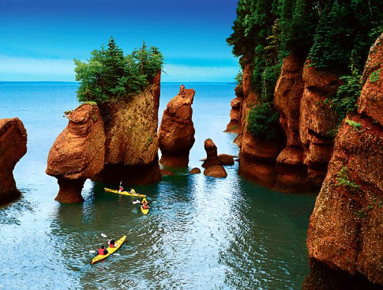Fundy National Park