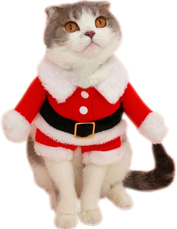Pet Christmas Santa Claus Suit
