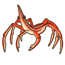 Arrow Crab