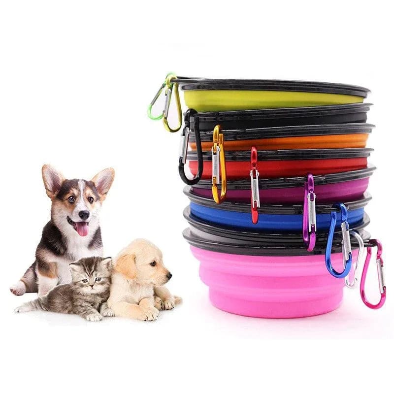 portable dog bowl