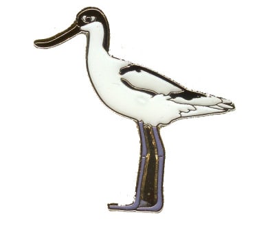 Avocet 2