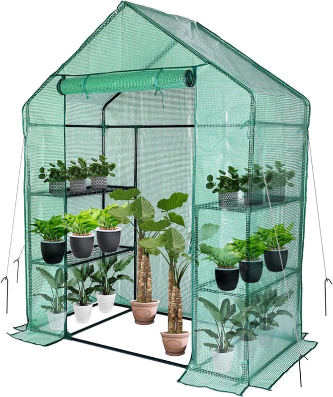 Small Greenhouse,Outdoor Greenhouse,Portable Greenhouse with Anchors and Roll-up Zipper Door,Grow Plants Seedlings Herbs or Flowers(56"×30"×76")