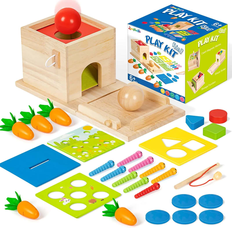 5-in-1 Wooden Play Kit Montessori Toy
