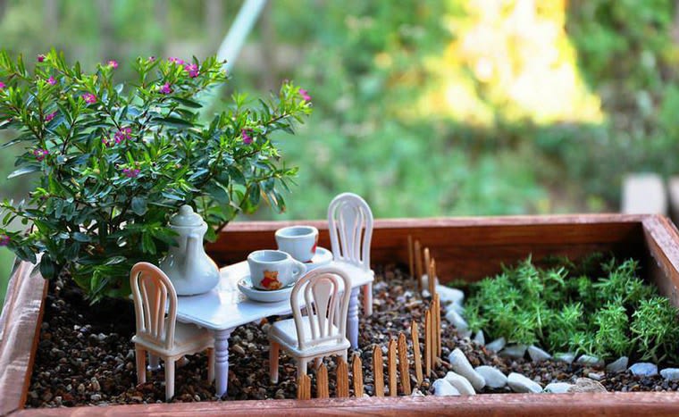 Tiny Garden Wonders: A Guide to Selecting Plants for Miniature Gardens
