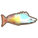 レインボーフィッシュ