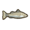 Barramundi