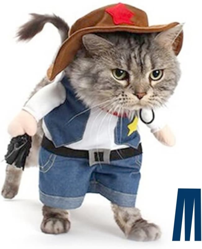Pet Cat Halloween Costumes