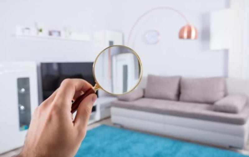 Five Indicators that You Need to Have Your House Checked for Mold