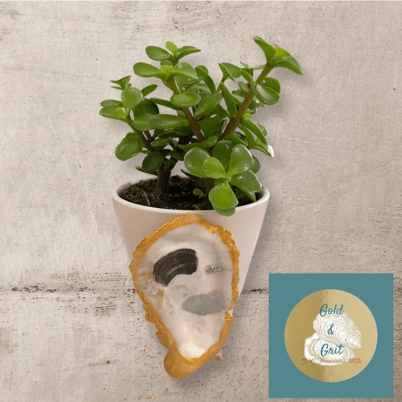 Golden Oyster gilded Self-Watering 4” Plant