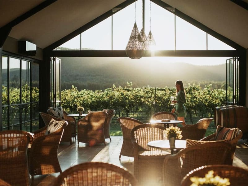 Wine and dine in the Hunter Valley's vineyards
