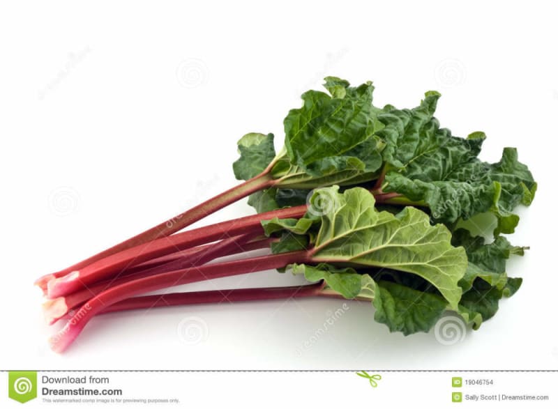 Rhubarb