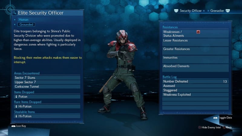 Elite Security Officer