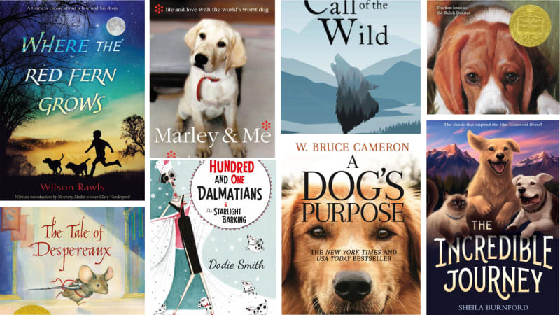 The 30 Best Books For Dog Lovers!