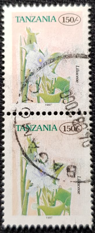 Tanzania
