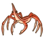 Arrow Crab
