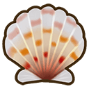Calico Scallop