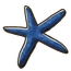 Blue Starfish