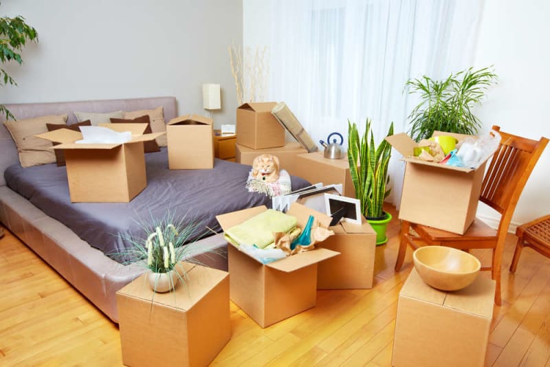 Things to Buy for a New House