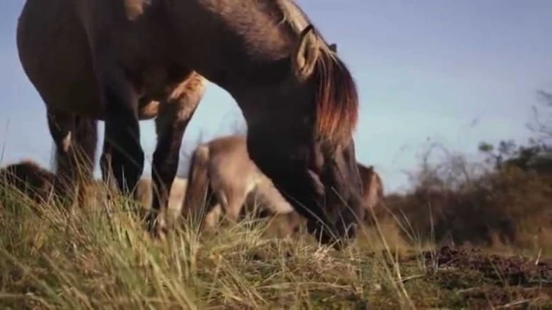 Canon EF 35mm f/2 IS USM