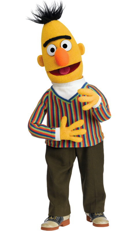 Bert