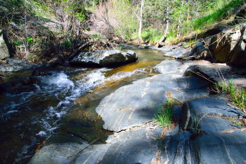Beaver Brook & Chavez Trail