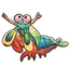 Mantis Shrimp